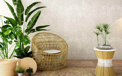 Importance Of Indoor Plants Inside Your Home