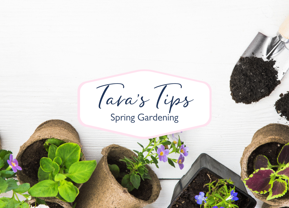 9 Spring Gardening Tips for the Weekend